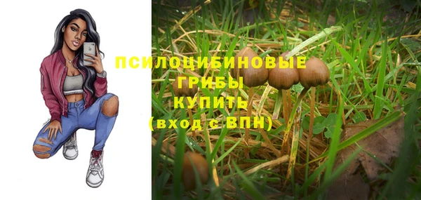 Альфа ПВП Магас