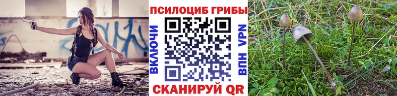 Галлюциногенные грибы Psilocybine cubensis  купить  сайты  Троицк 
