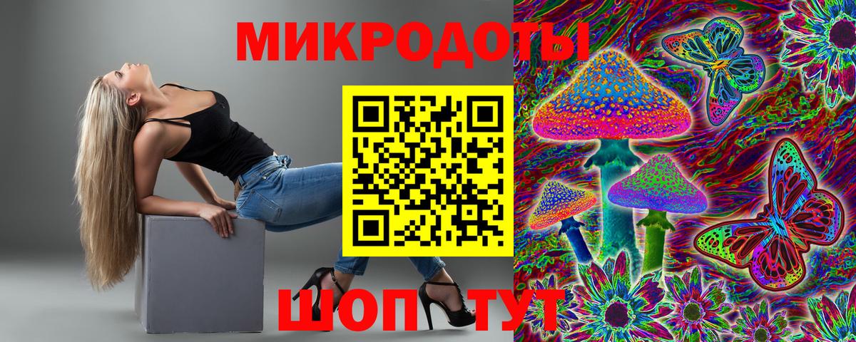 Галлюциногенные грибы Psilocybe Троицк